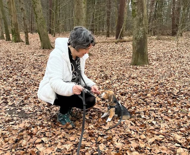 puppycursus-1
